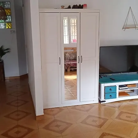 Libelula