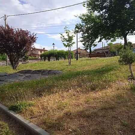 Libelula La Losa